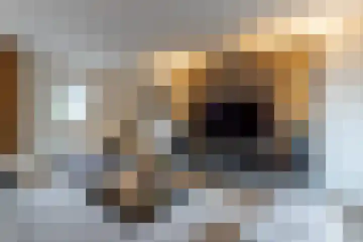 Hoofdstraat 61 Vroomshoop thumbnail 13