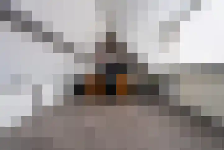 Hoofdstraat 61 Vroomshoop thumbnail 20
