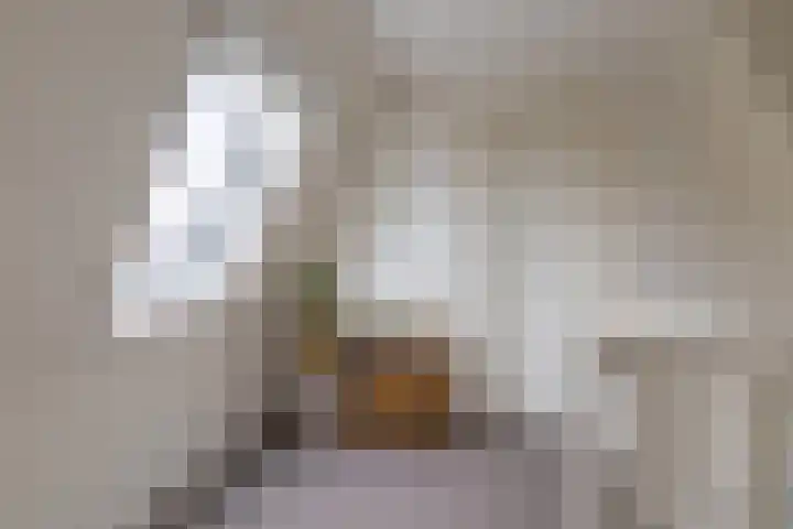 Hoofdstraat 61 Vroomshoop thumbnail 27