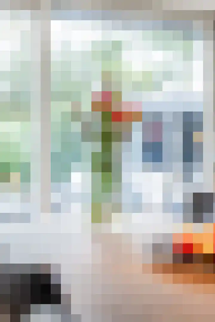 Hoofdstraat 61 Vroomshoop thumbnail 30