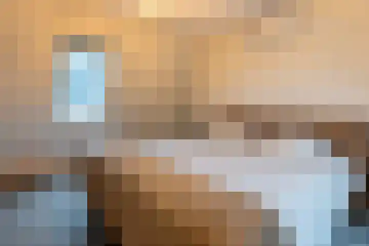 Hoofdstraat 61 Vroomshoop thumbnail 33