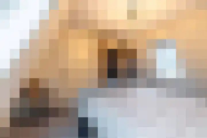 Hoofdstraat 61 Vroomshoop thumbnail 34