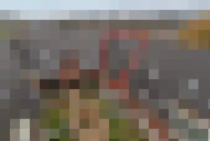 Hoofdstraat 61 Vroomshoop thumbnail 4