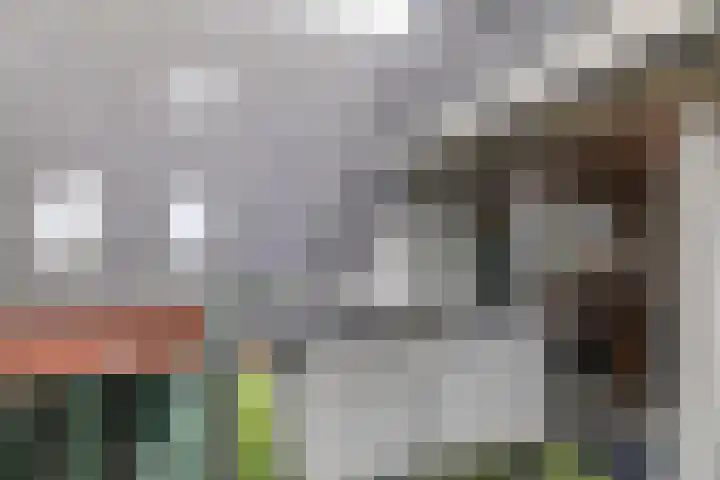 Hoofdstraat 61 Vroomshoop thumbnail 40