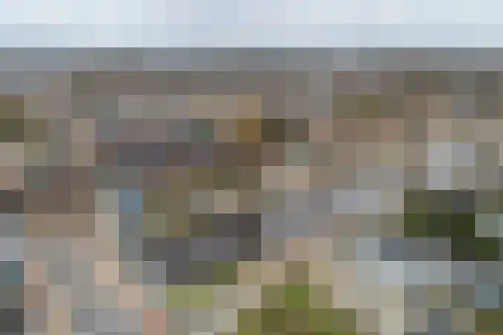 Hoofdstraat 61 Vroomshoop thumbnail 46