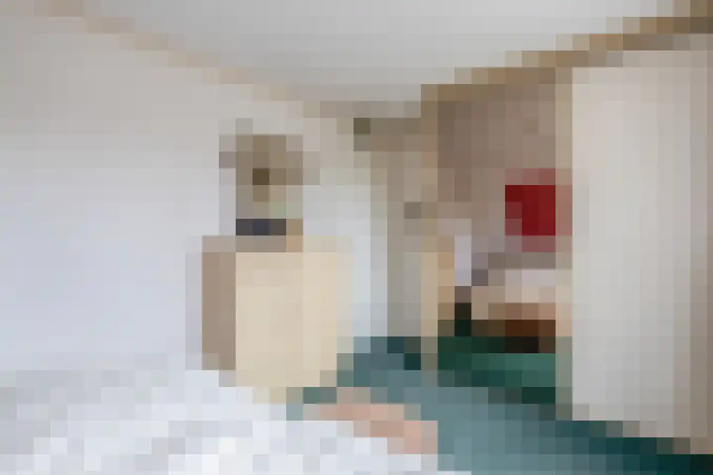 Hoofdstraat 61 Vroomshoop thumbnail 47