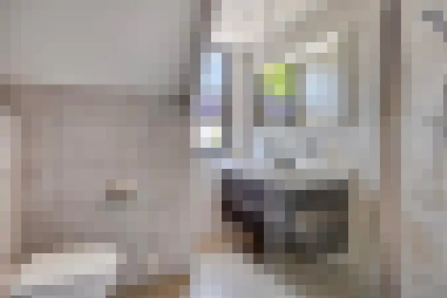 Hoofdstraat 62 Genderen thumbnail 54