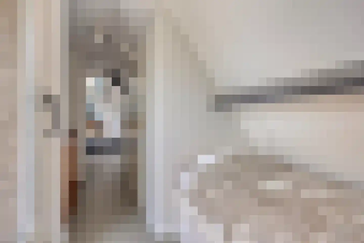 Hoofdstraat 62 Genderen thumbnail 61