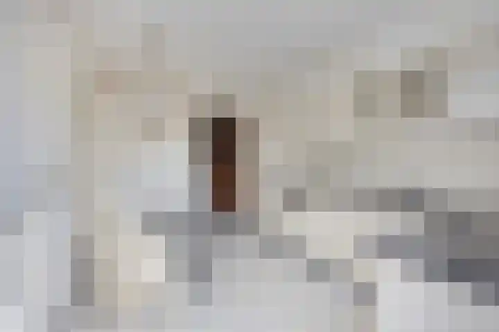 Hoofdstraat 62 Leiderdorp thumbnail 10