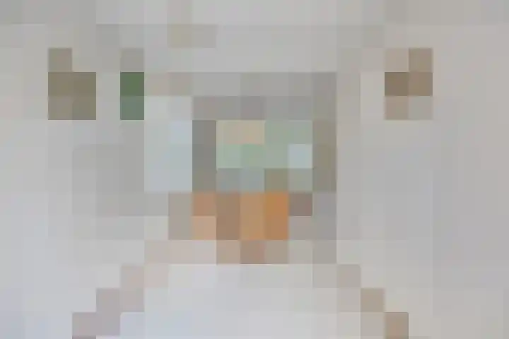 Hoofdstraat 62 Leiderdorp thumbnail 12