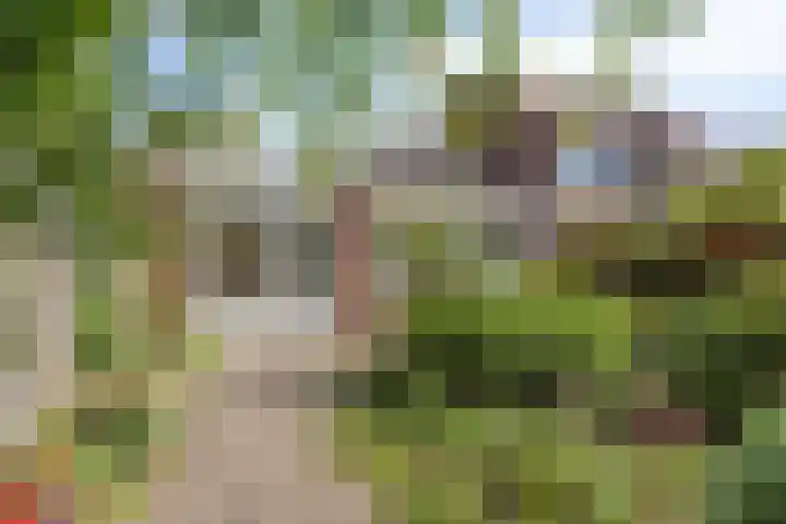Hoofdstraat 62 Leiderdorp thumbnail 19