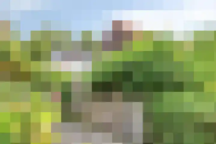 Hoofdstraat 62 Leiderdorp thumbnail 27