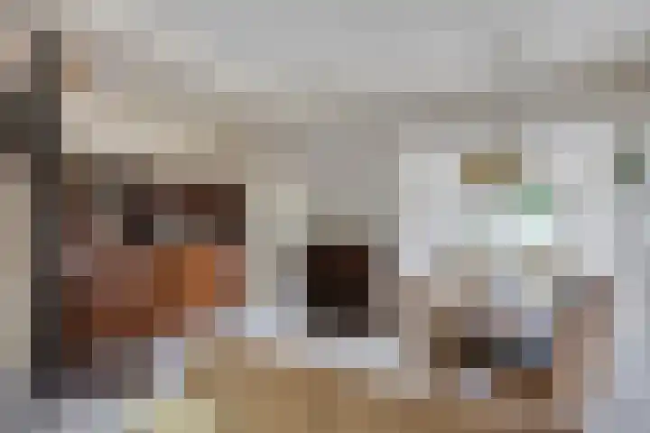 Hoofdstraat 62 Leiderdorp thumbnail 8