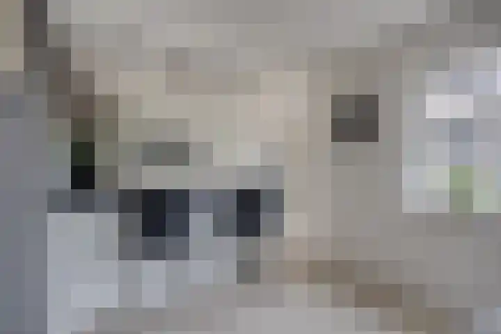 Hoofdstraat 63 Ovezande thumbnail 11