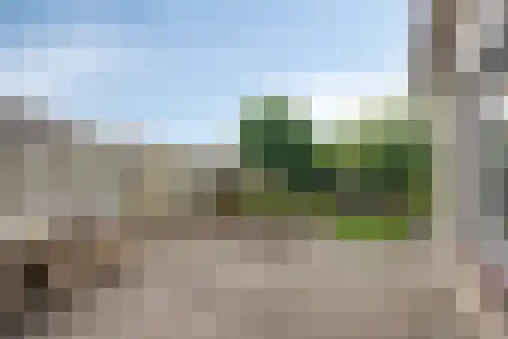 Hoofdstraat 63 Ovezande thumbnail 27