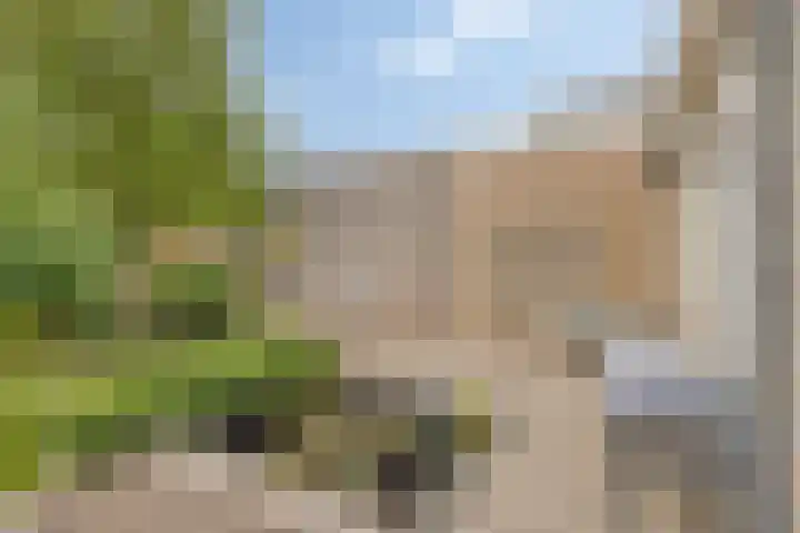 Hoofdstraat 63 Ovezande thumbnail 30