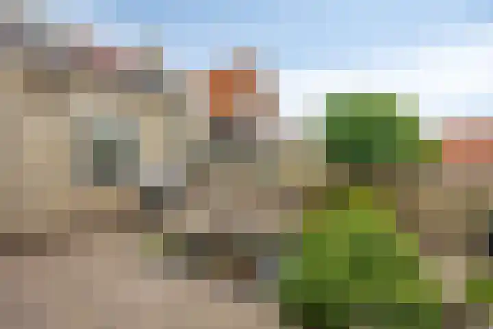 Hoofdstraat 63 Ovezande thumbnail 31