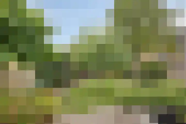 Hoofdstraat 63 Ovezande thumbnail 32