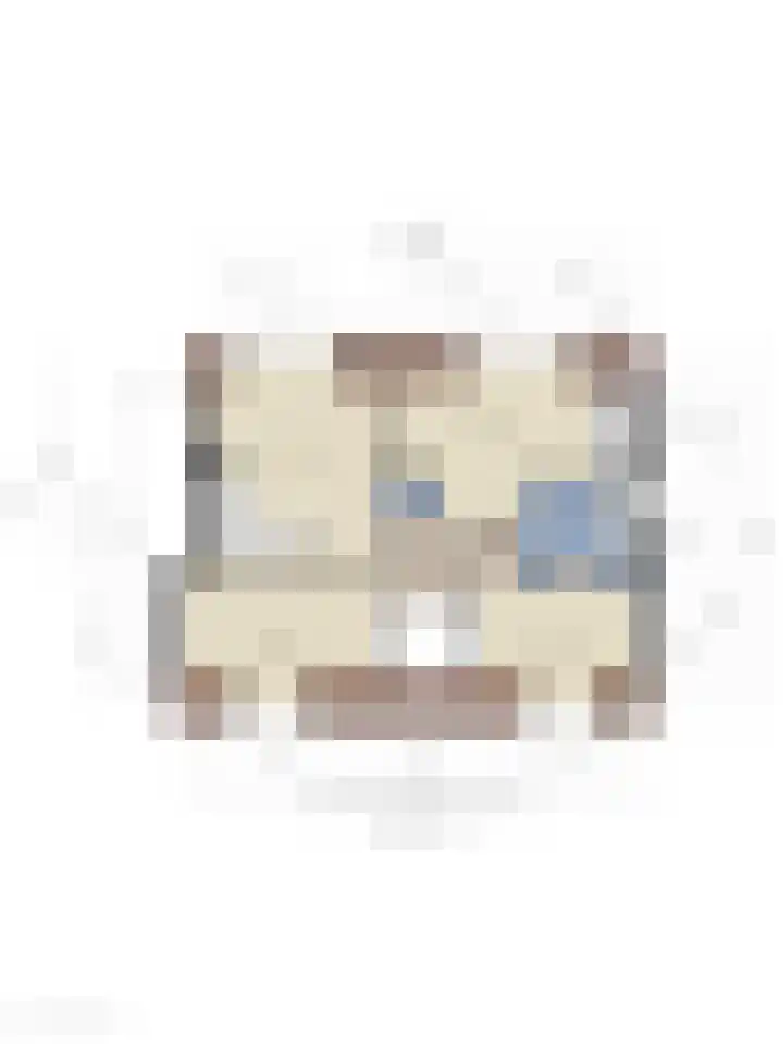 Hoofdstraat 63 Ovezande thumbnail 37
