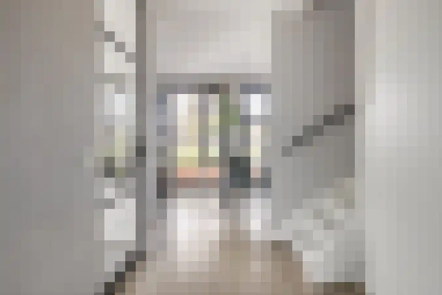 Hoofdstraat 64 Heeswijk-Dinther thumbnail 14