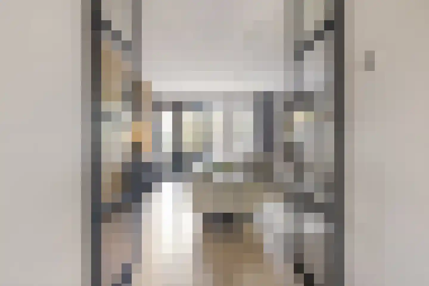 Hoofdstraat 64 Heeswijk-Dinther thumbnail 20