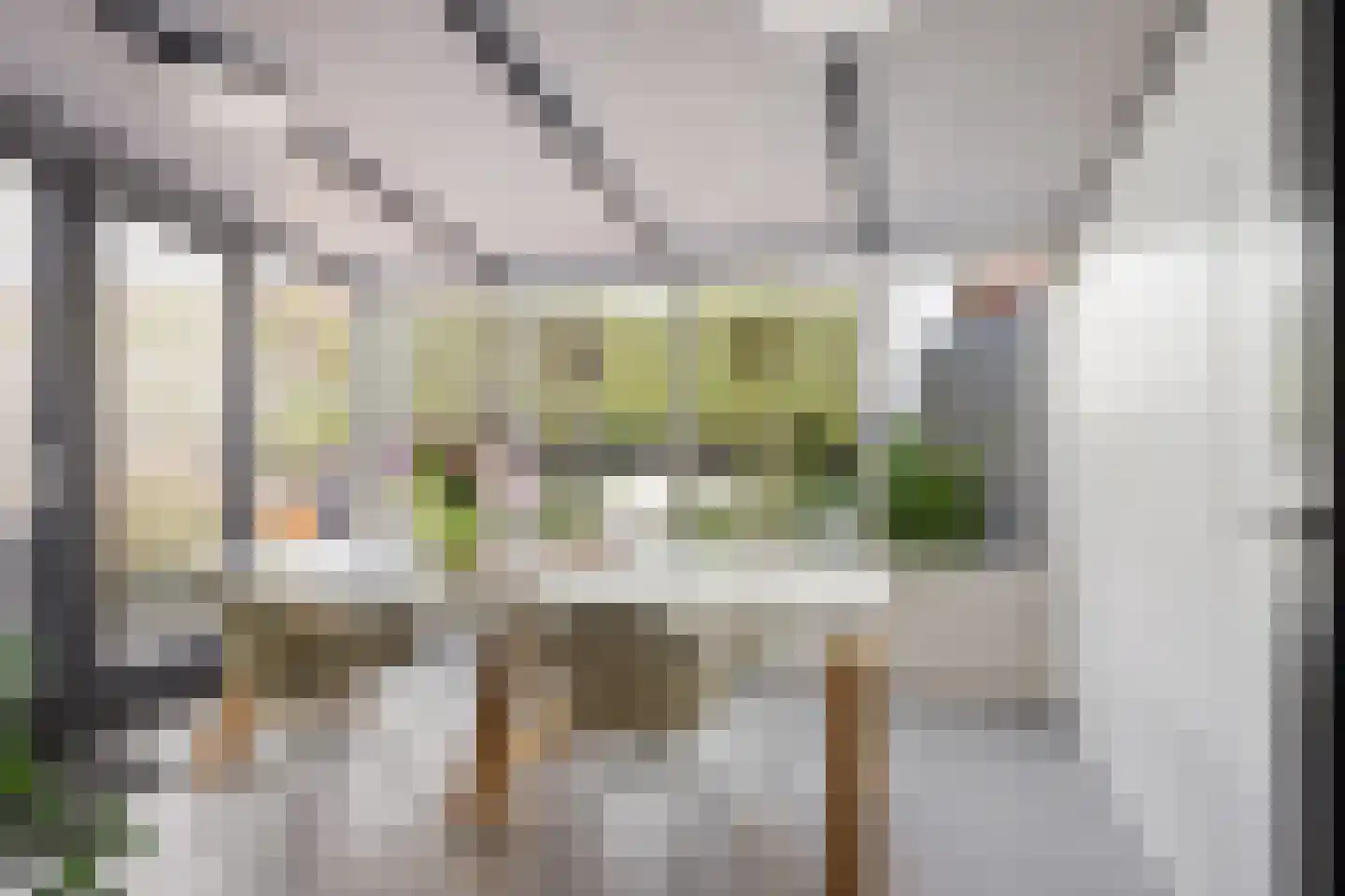 Hoofdstraat 64 Heeswijk-Dinther thumbnail 28