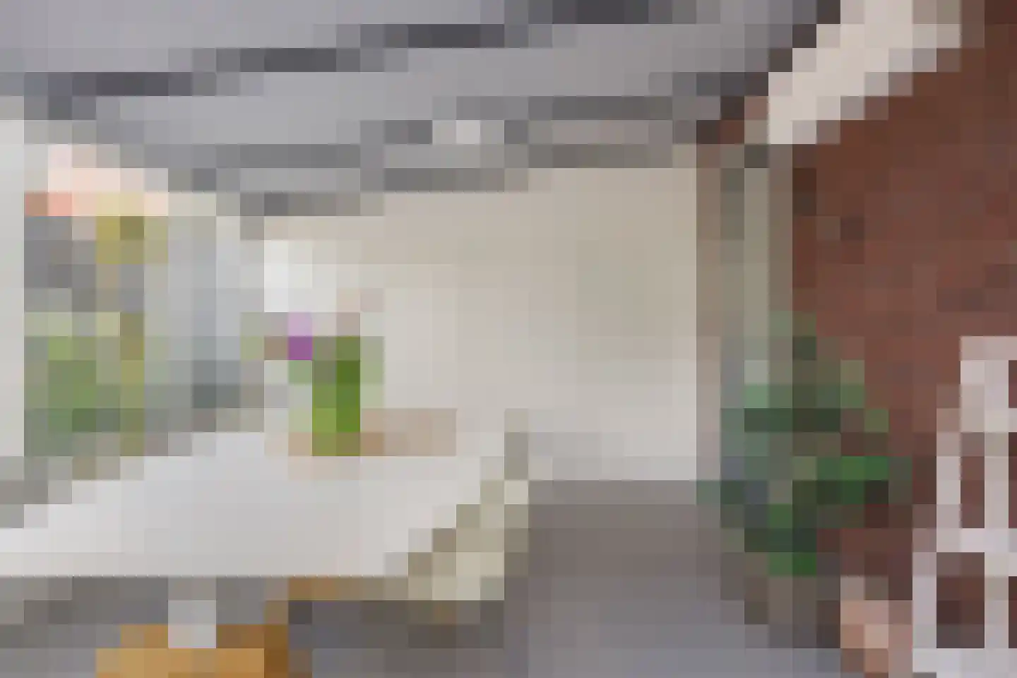Hoofdstraat 64 Heeswijk-Dinther thumbnail 29