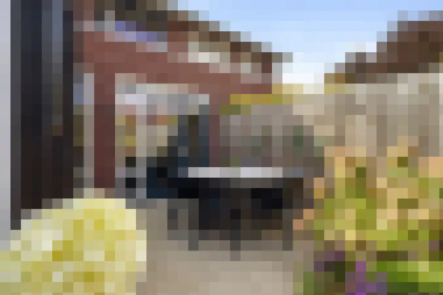Hoofdstraat 64 Heeswijk-Dinther thumbnail 51