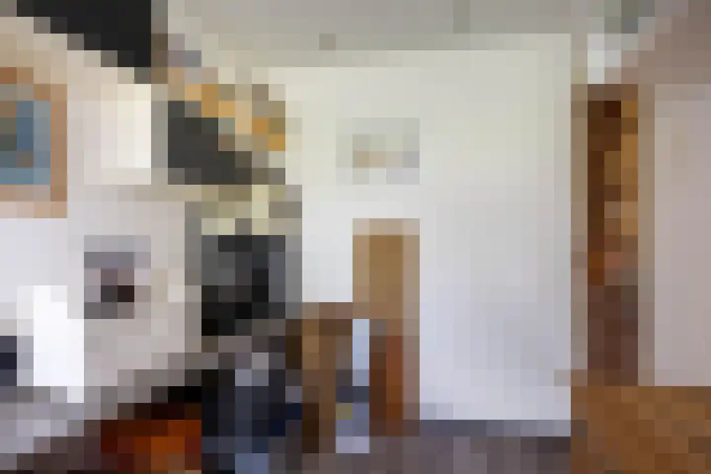 Hoofdstraat 64 Meedhuizen thumbnail 18
