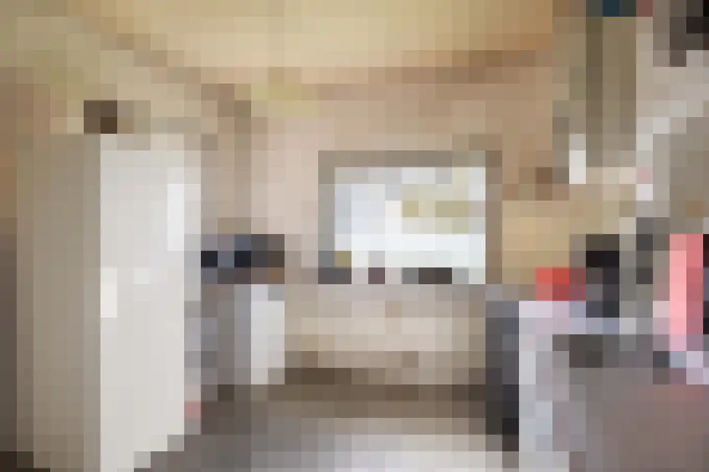 Hoofdstraat 64 Meedhuizen thumbnail 19
