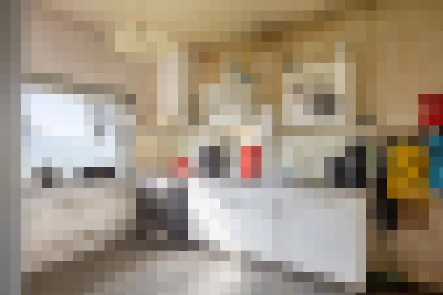Hoofdstraat 64 Meedhuizen thumbnail 20