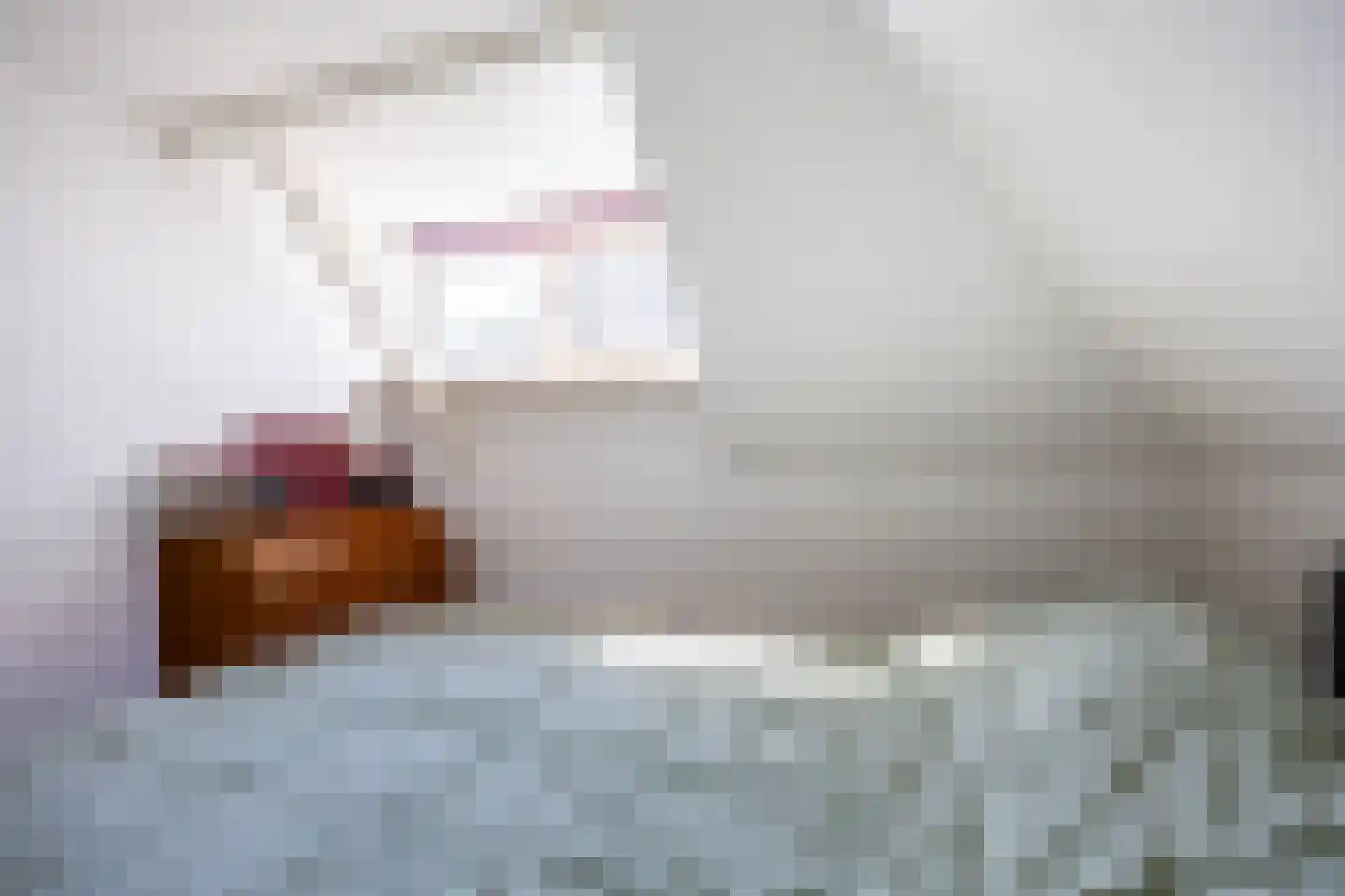 Hoofdstraat 64 Meedhuizen thumbnail 31