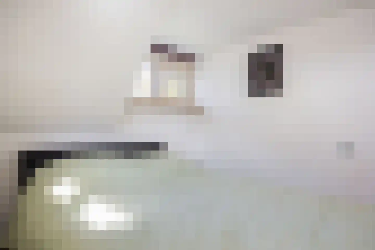 Hoofdstraat 64 Meedhuizen thumbnail 32