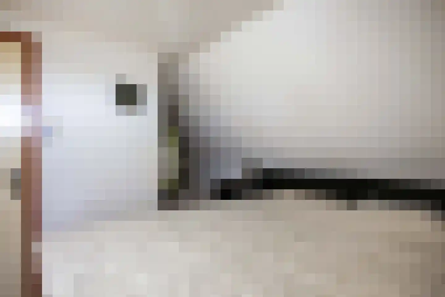 Hoofdstraat 64 Meedhuizen thumbnail 34