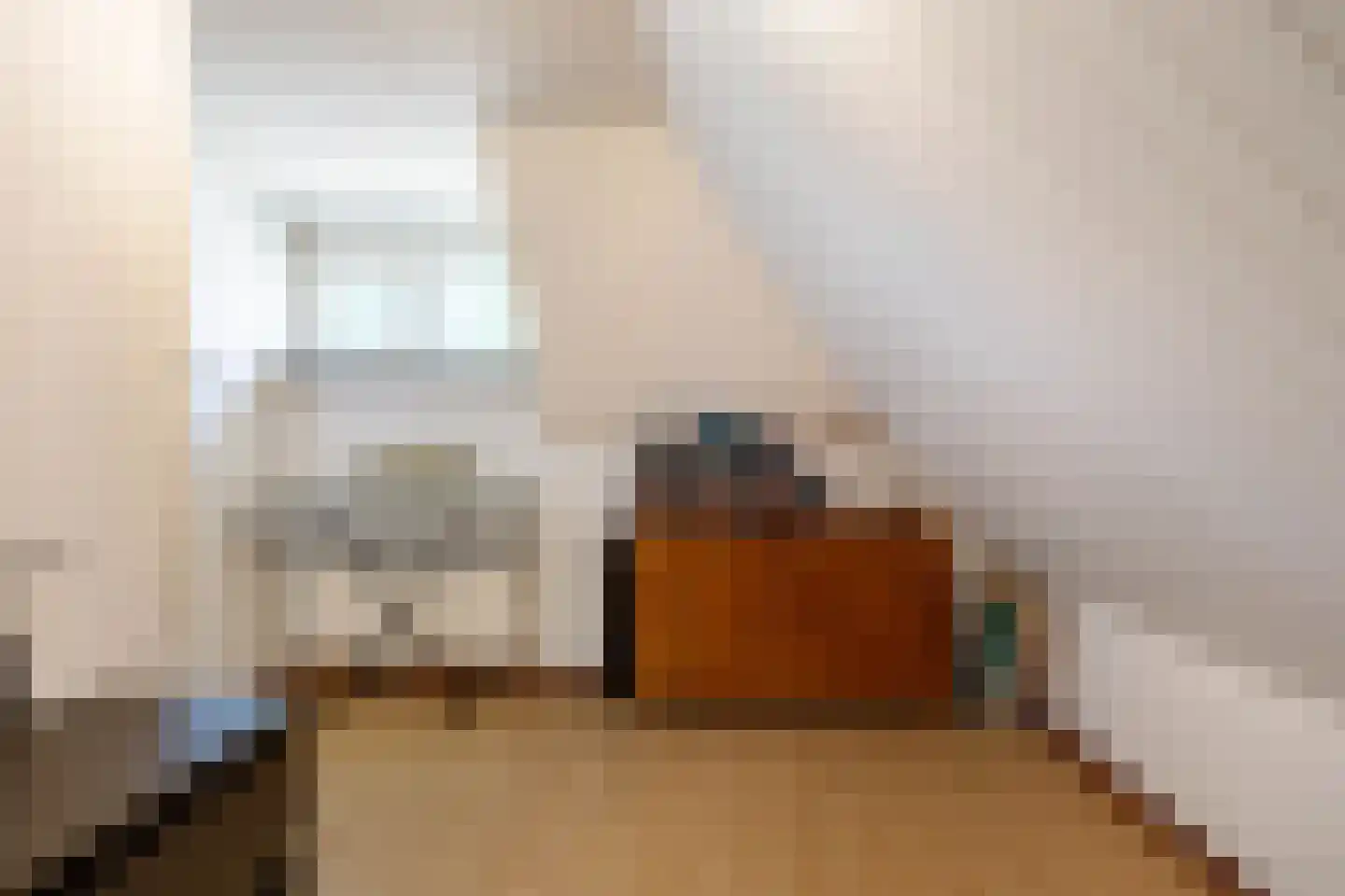 Hoofdstraat 64 Meedhuizen thumbnail 38
