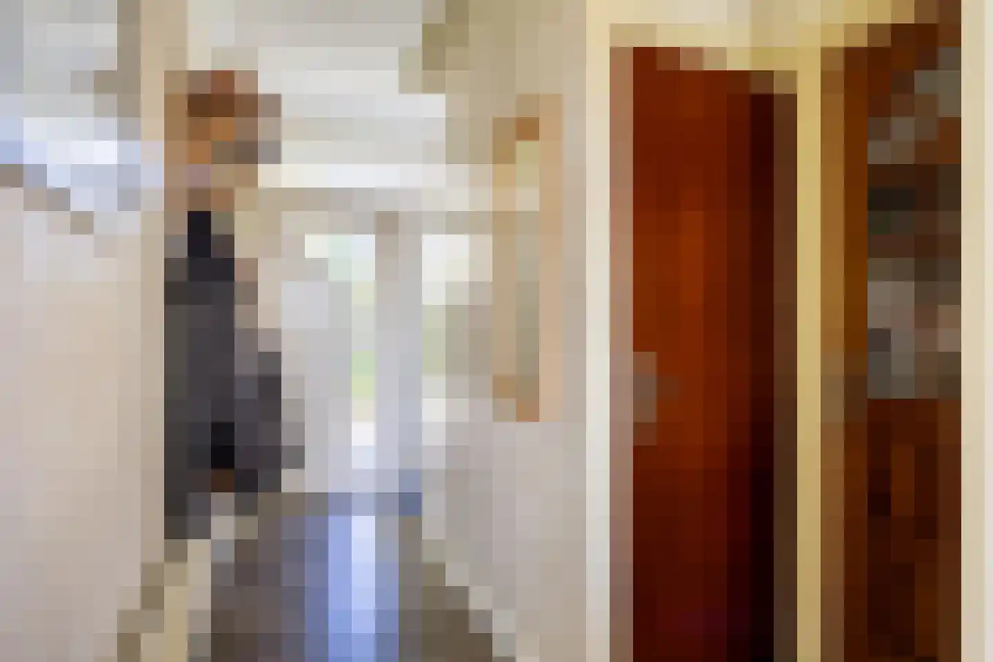 Hoofdstraat 64 Meedhuizen thumbnail 8