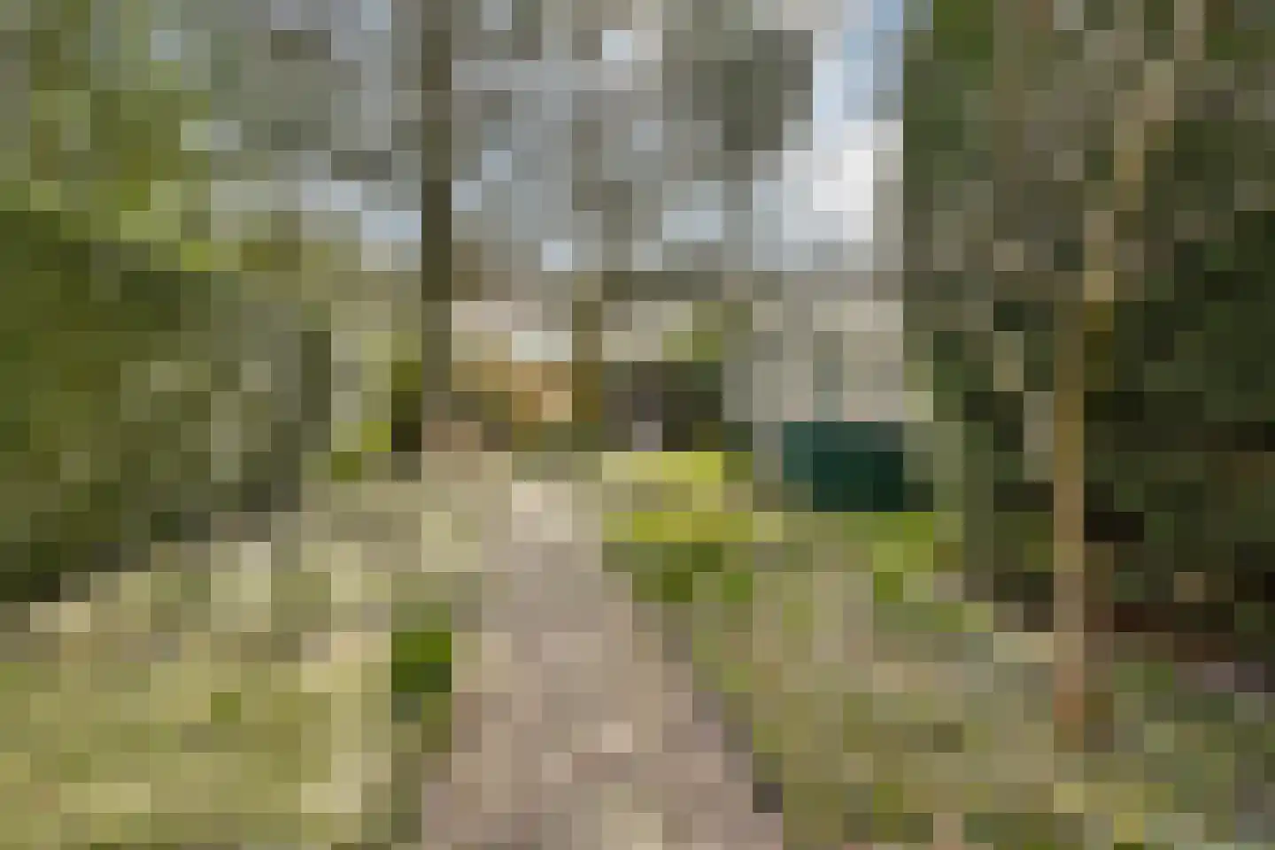 Hoofdstraat 64 Sassenheim thumbnail 5