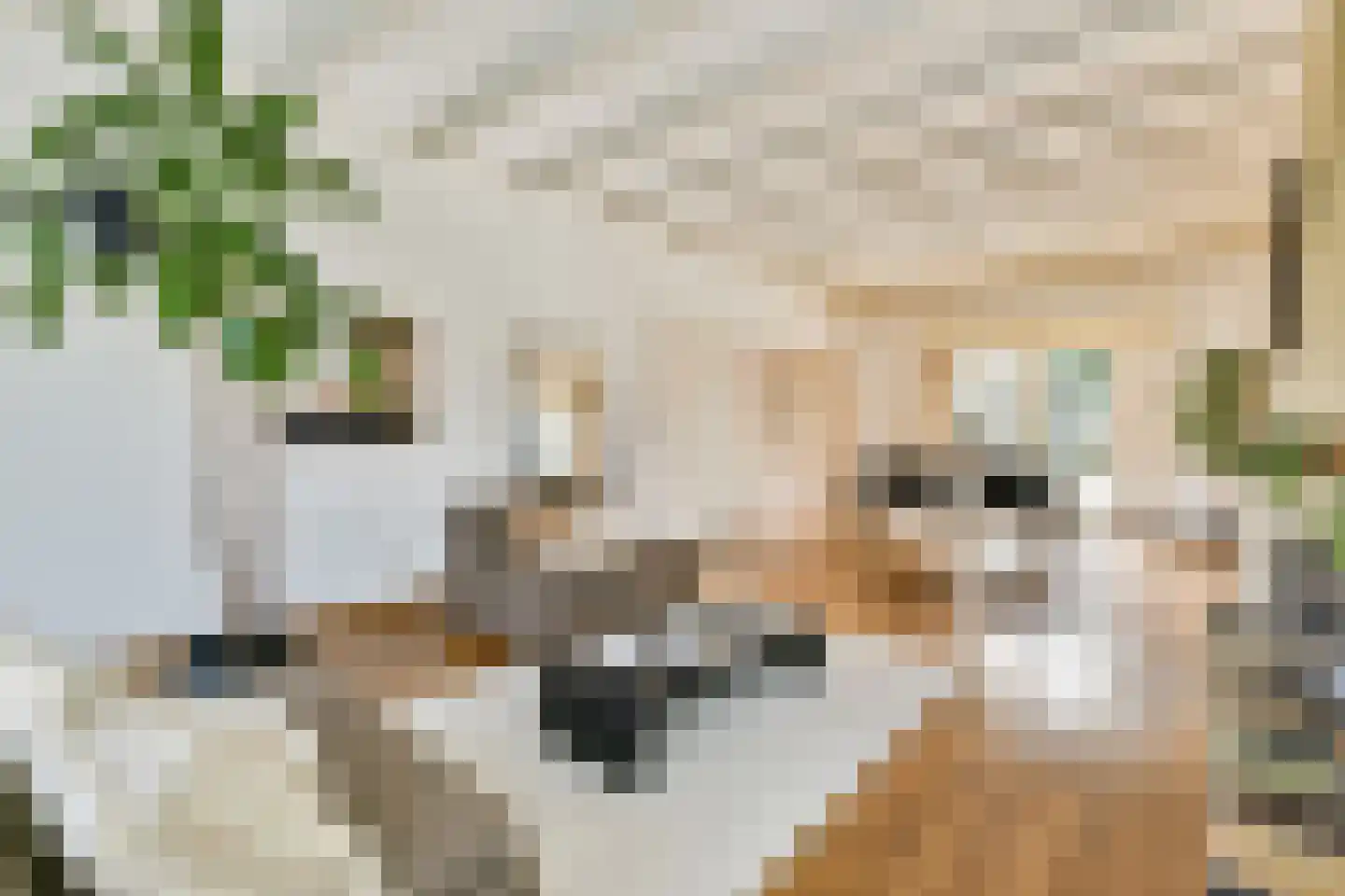 Hoofdstraat 64 Sassenheim thumbnail 8