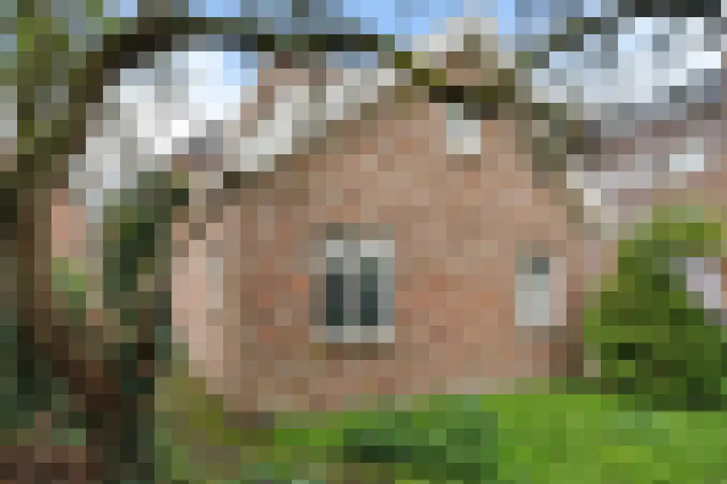 Hoofdstraat 65 Gorredijk thumbnail 22