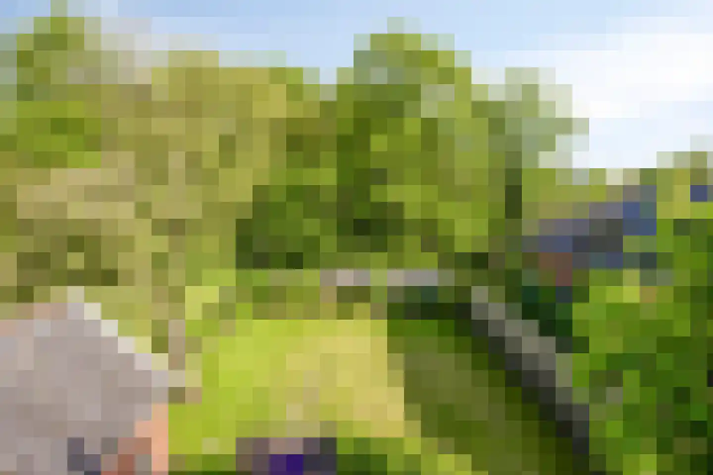 Hoofdstraat 65 Kloosterburen thumbnail 54
