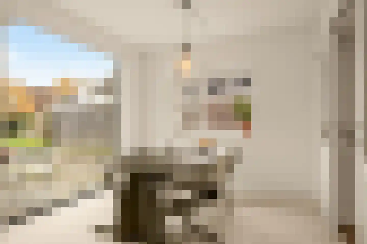 Hoofdstraat 65 Zuidwolde thumbnail 17