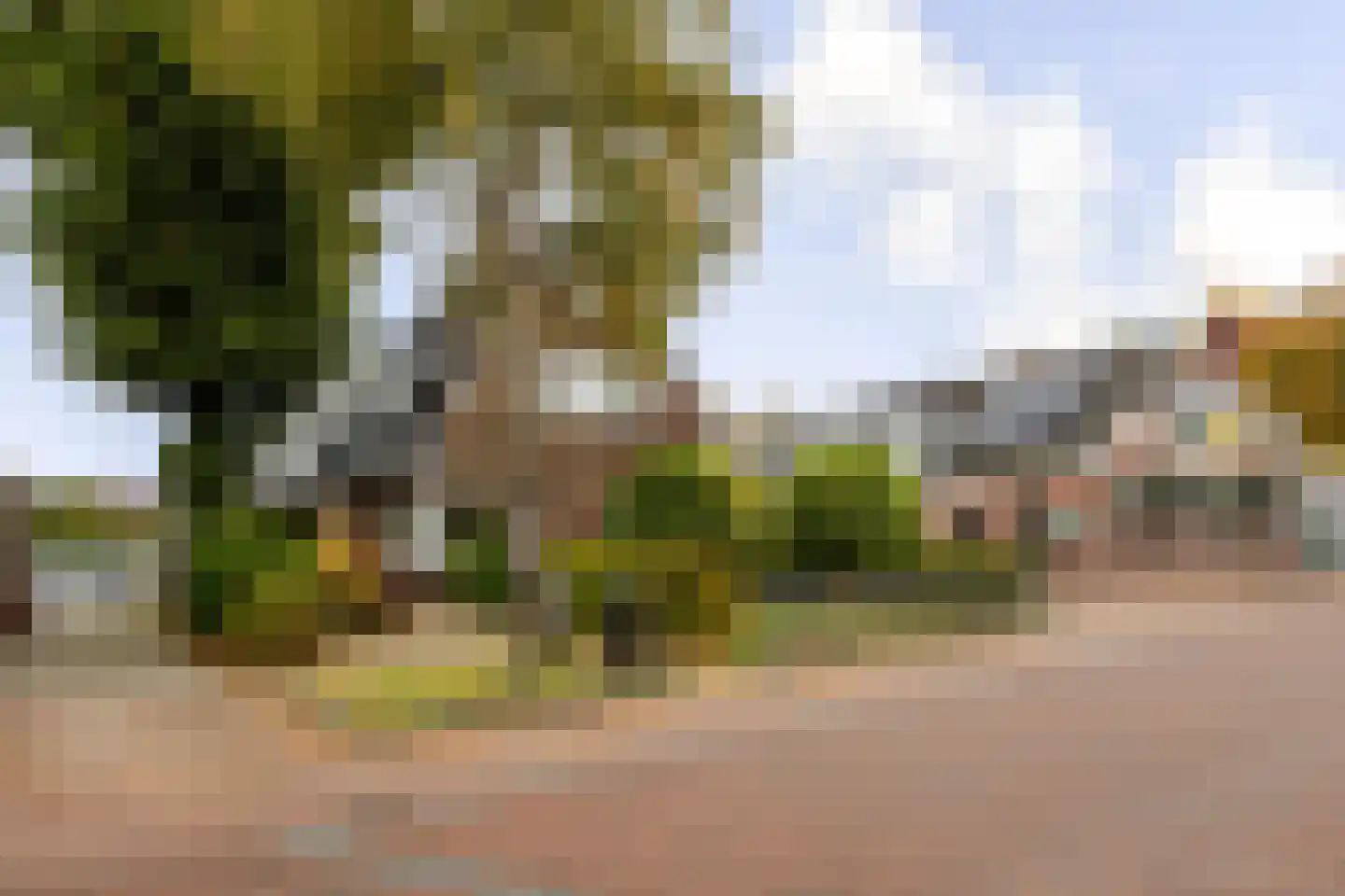 Hoofdstraat 65 Zuidwolde thumbnail 4