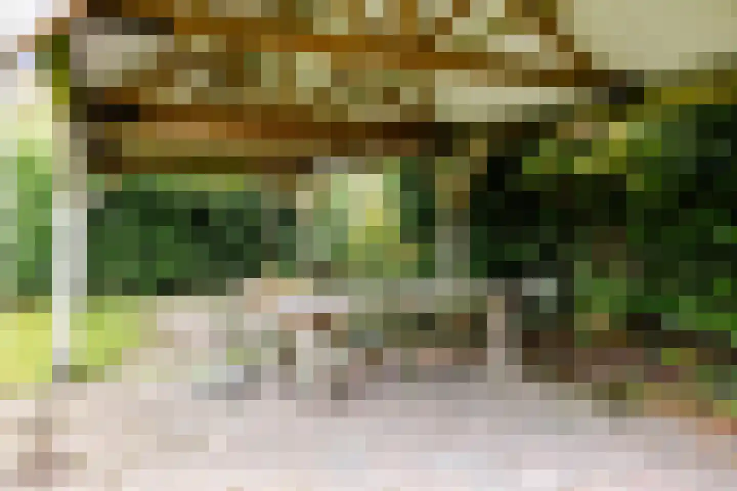 Hoofdstraat 65 Zuidwolde thumbnail 52