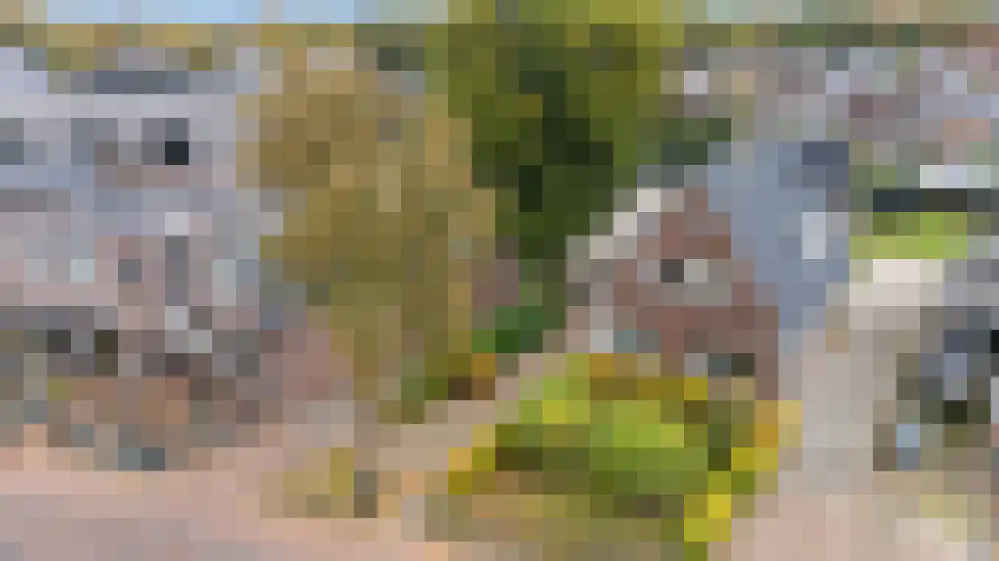 Hoofdstraat 65 Zuidwolde thumbnail 53