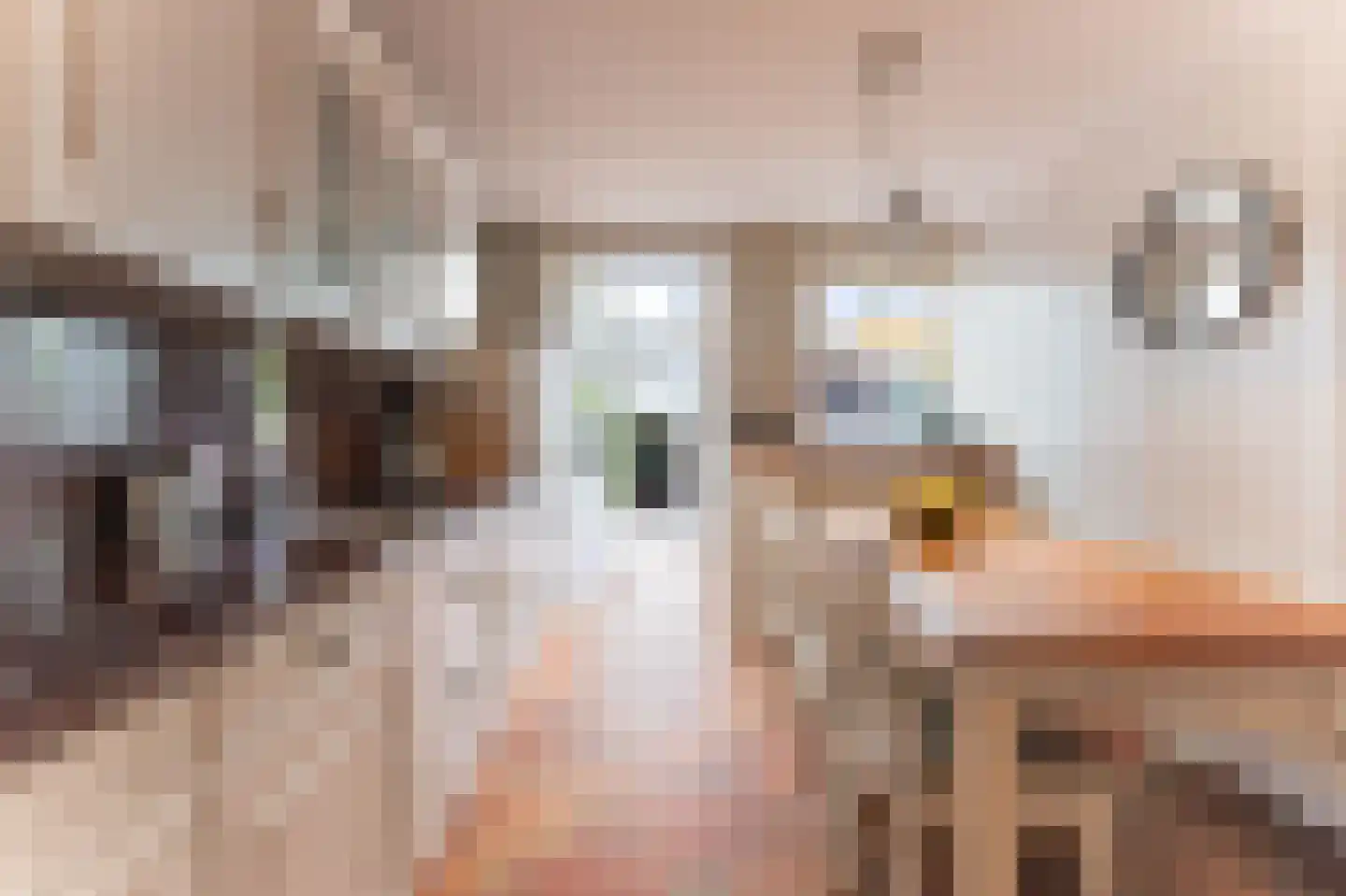 Hoofdstraat 66 Bovenkarspel thumbnail 14