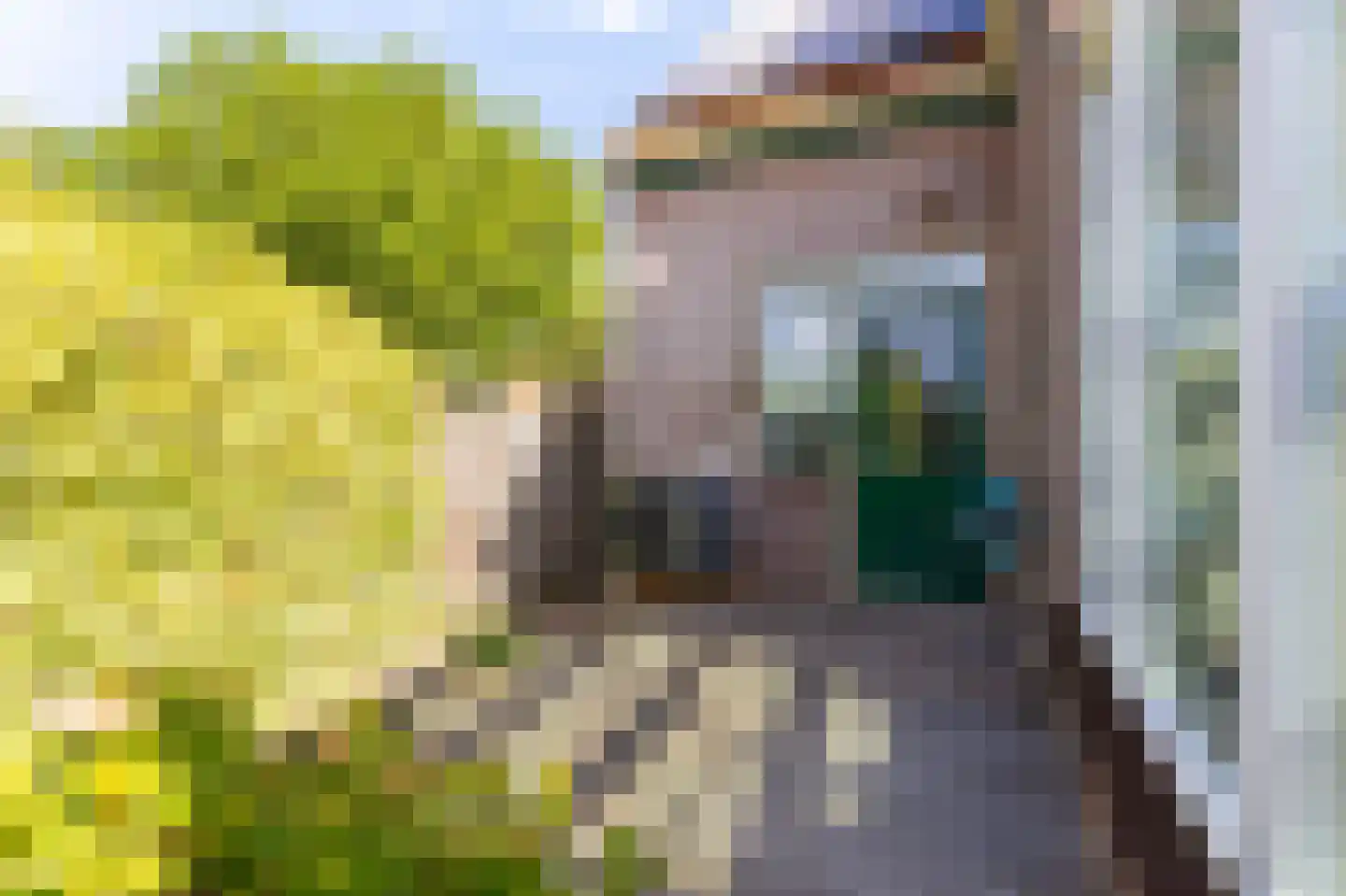 Hoofdstraat 66 Bovenkarspel thumbnail 24