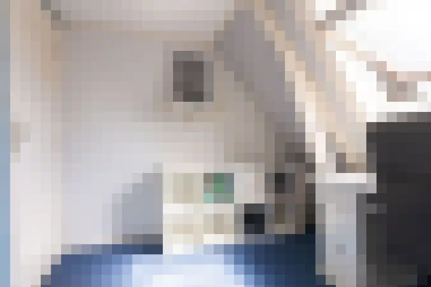 Hoofdstraat 66 Bovenkarspel thumbnail 41