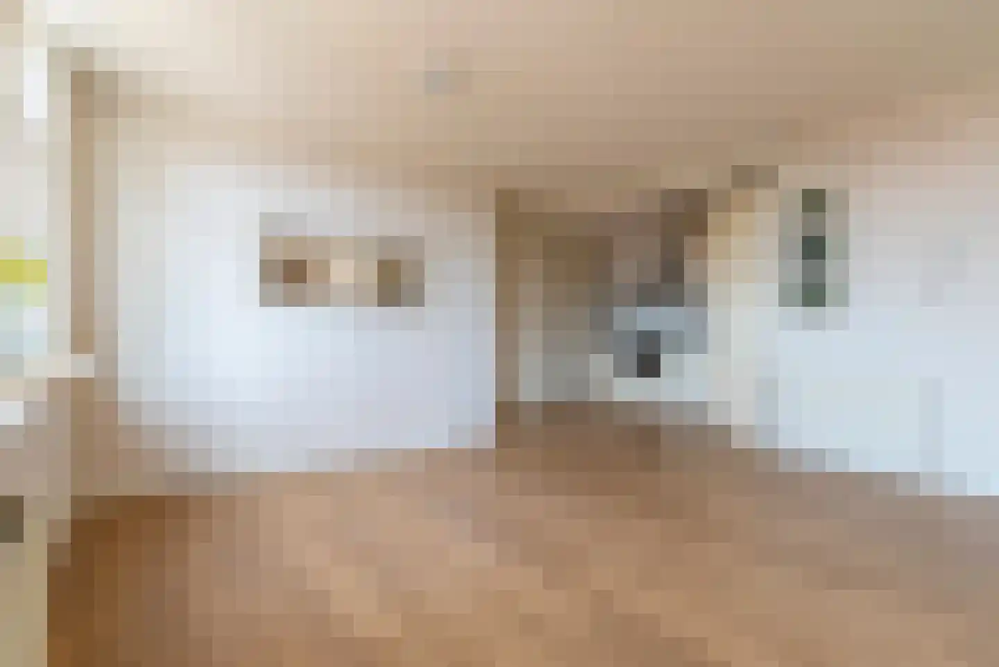 Hoofdstraat 66 E Veenendaal thumbnail 10