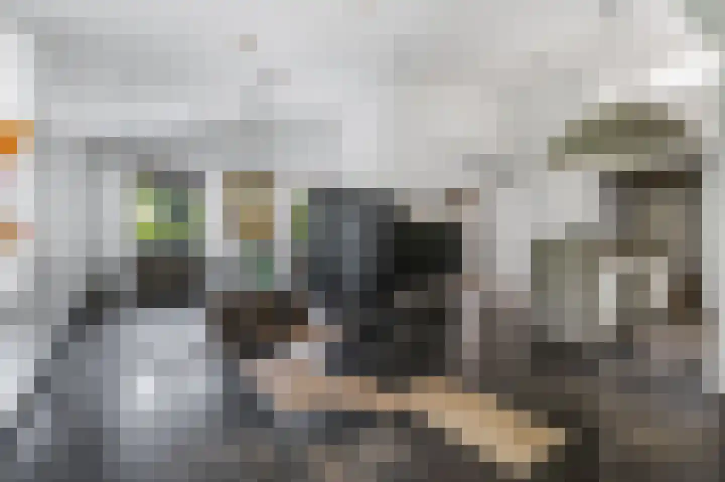Hoofdstraat 66 Kesteren thumbnail 12