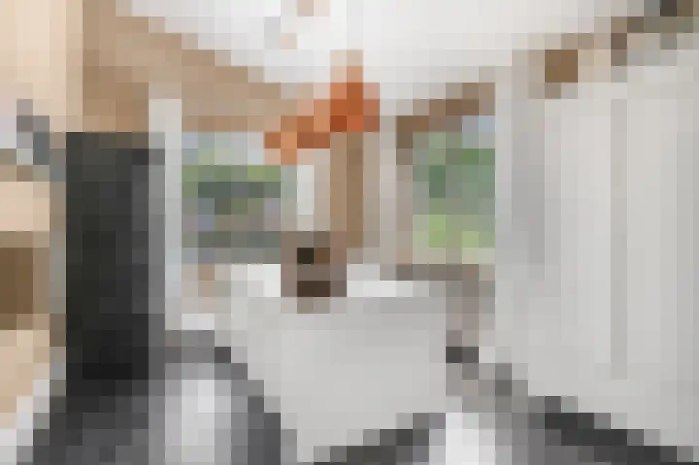 Hoofdstraat 66 Kesteren thumbnail 18